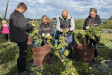 Letošní úroda chmele na Vysočině je zatím nejlepší Letošní úroda chmele na Vysočině je zatím nejlepší