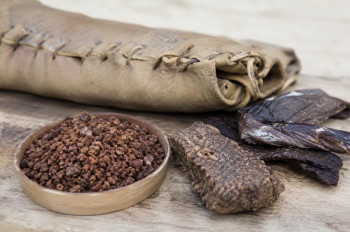 Pemmican. Jídlo indiánů, které poráží moderní survival
