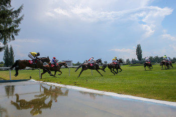 Klisna  Ironika ovládla milionovou kvalifikaci na Velkou pardubickou